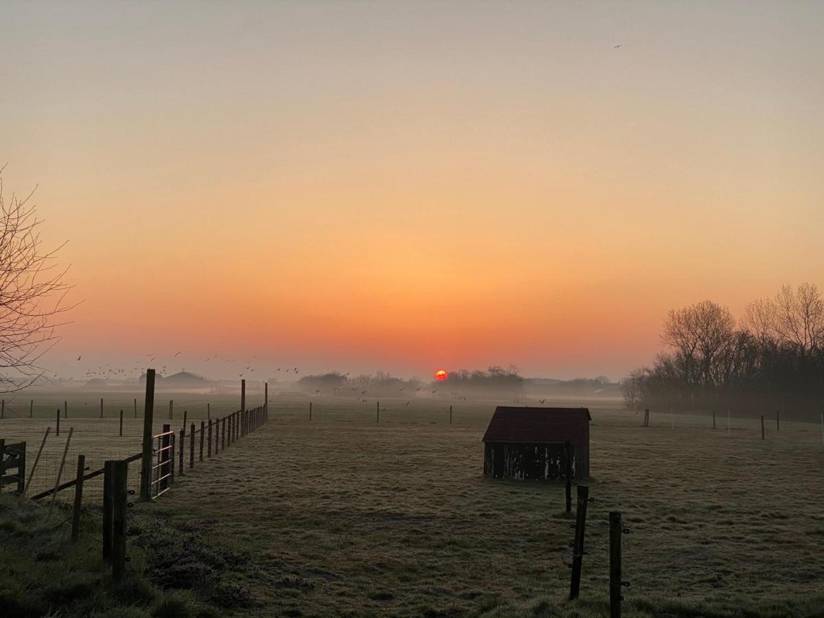 デ・コーフ Logies Boszicht Texel Bed & Breakfast エクステリア 写真